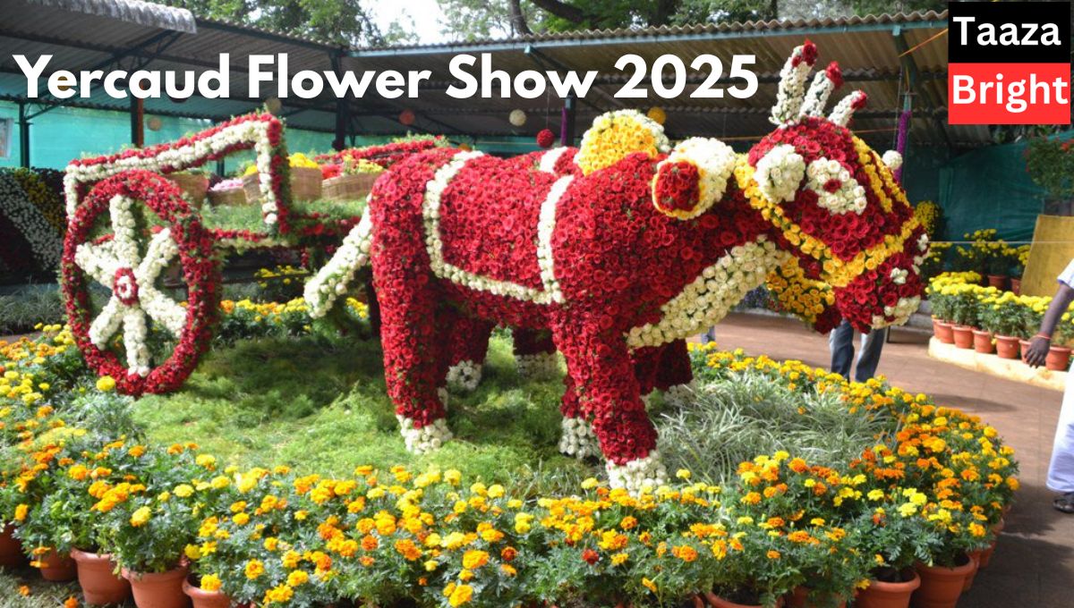 Yercaud-Flower-Show-2025
